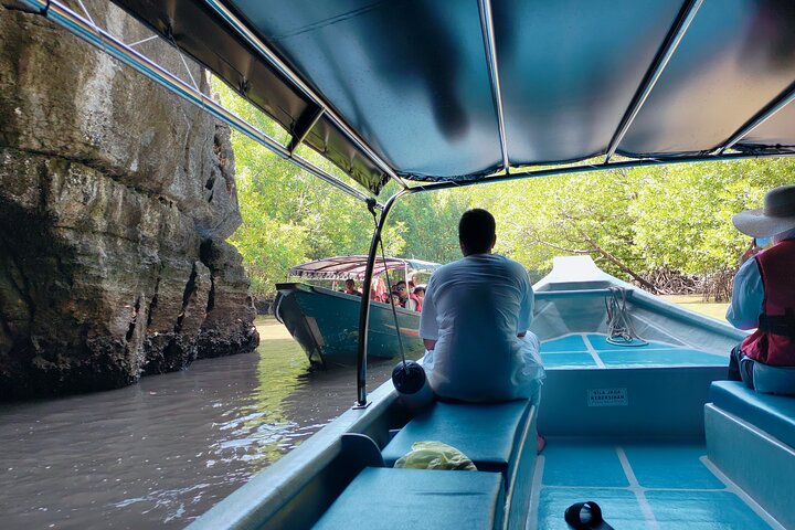 Langkawi Mangrove Boat Tour at Kilim Geoforest Park