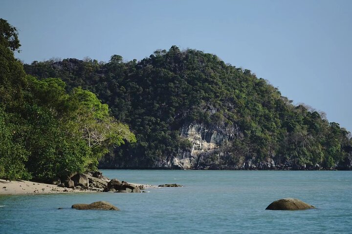 Langkawi Mangrove Boat Tour at Kilim Geoforest Park