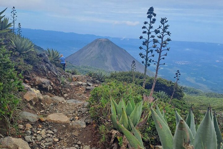 Santa Ana Volcano Hike & Lunch at Coatepeque Lake (Private Tour)