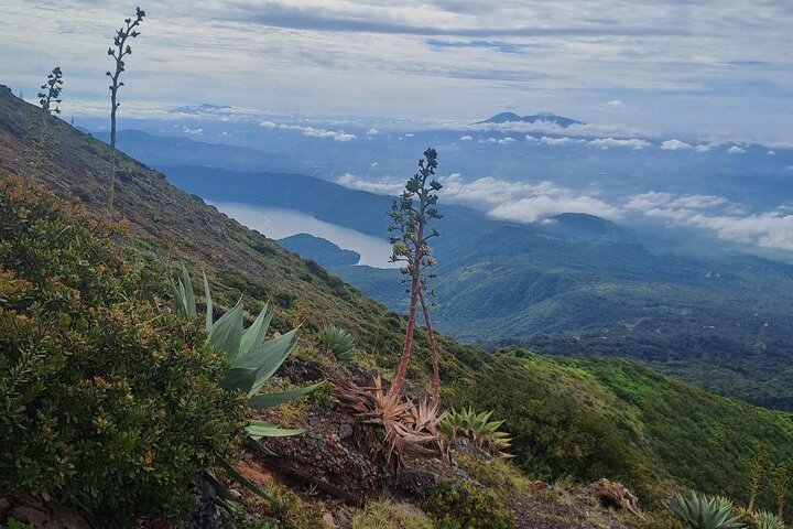 Santa Ana Volcano Hike & Lunch at Coatepeque Lake (Private Tour)
