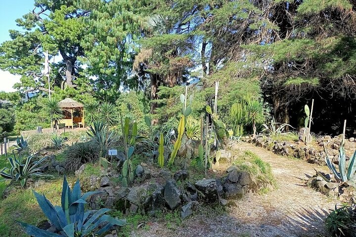 Mtirala National Park & Botanical Garden / Tour From Batumi