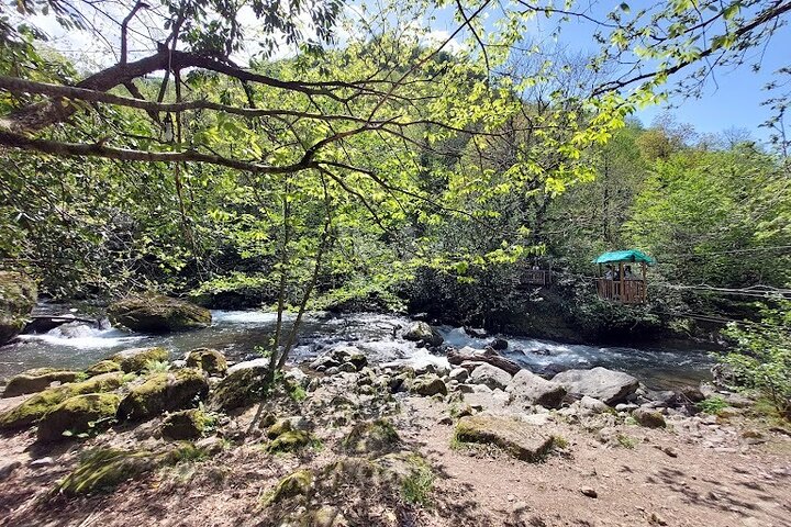Mtirala National Park & Botanical Garden / Tour From Batumi