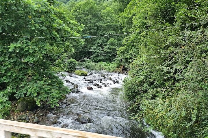 Mtirala National Park & Botanical Garden / Tour From Batumi