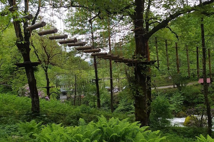 Mtirala National Park & Botanical Garden / Tour From Batumi
