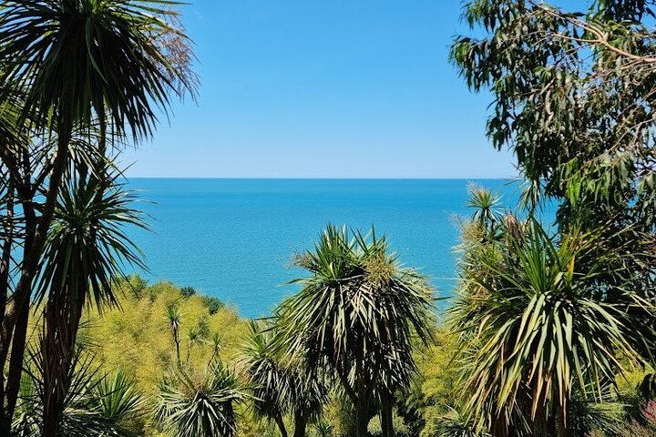 Mtirala National Park & Botanical Garden / Tour From Batumi