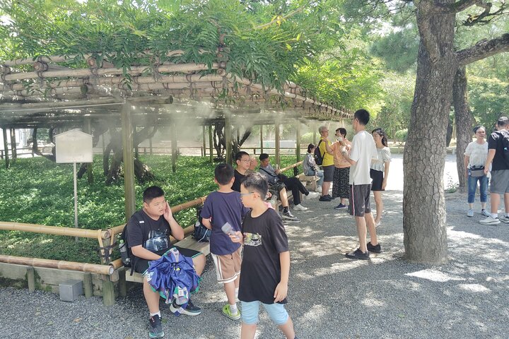 Kyoto: Enjoy Byodoin Temple and Tea Sweets