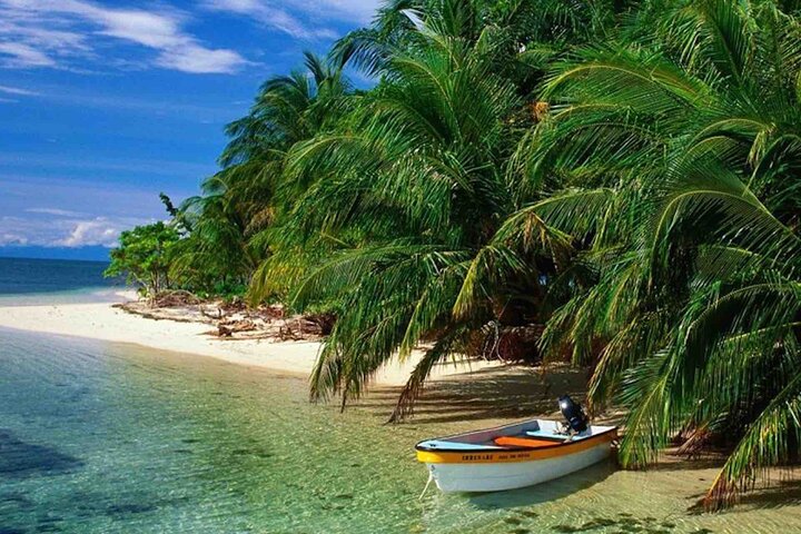 Bocas del Toro Island Hopping Day Tour in Zapatilla Beach