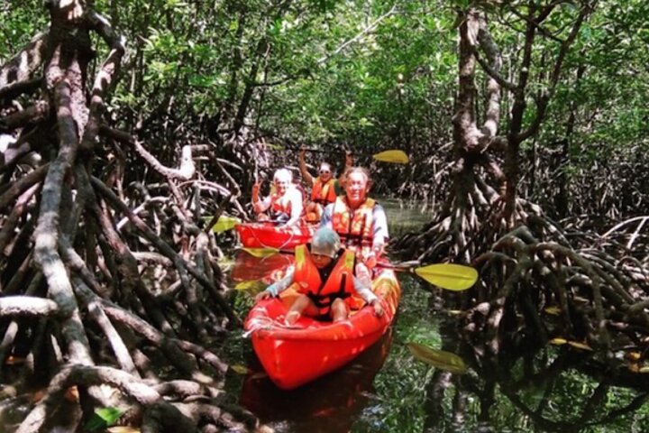 Mangrove Tour by Kayaking in Ko Lanta With Lunch