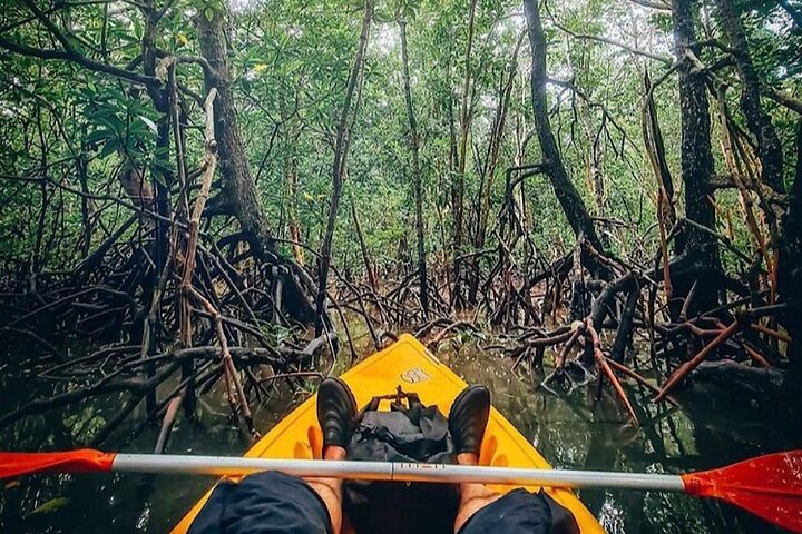 Mangrove Tour by Kayaking in Ko Lanta With Lunch