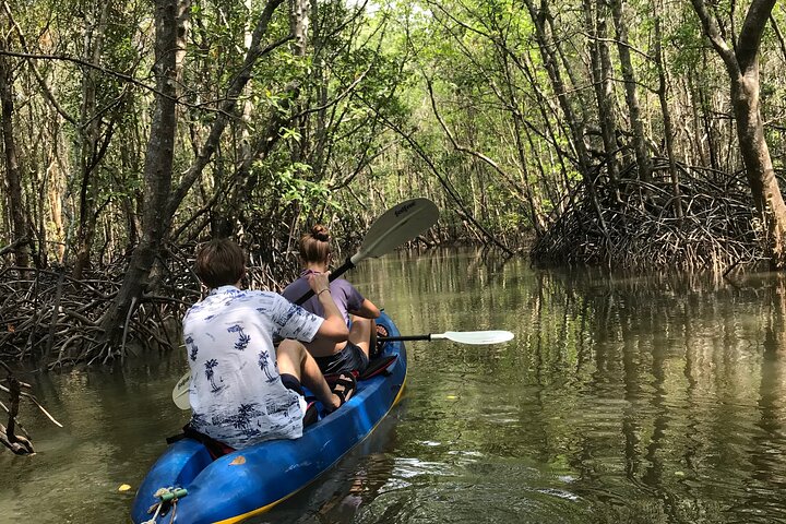 Mangrove Tour by Kayaking in Ko Lanta With Lunch