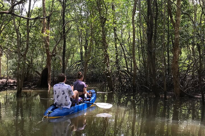 Mangrove Tour by Kayaking in Ko Lanta With Lunch