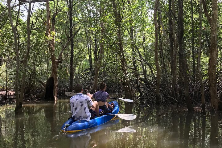 Mangrove Tour by Kayaking in Ko Lanta With Lunch