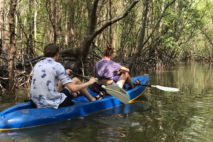 Mangrove Tour by Kayaking in Ko Lanta With Lunch
