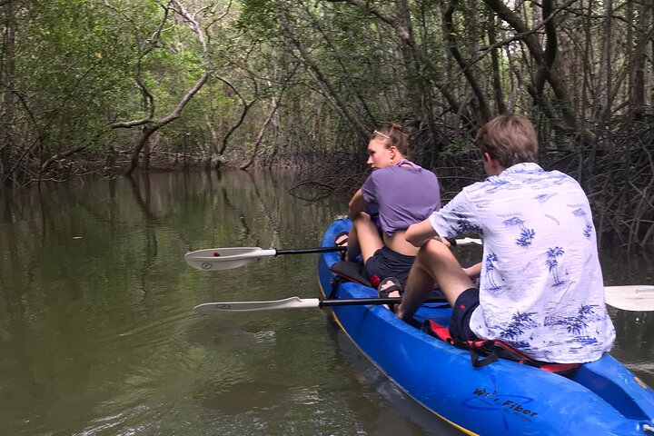 Mangrove Tour by Kayaking in Ko Lanta With Lunch