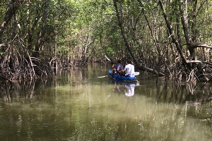 Mangrove Tour by Kayaking in Ko Lanta With Lunch