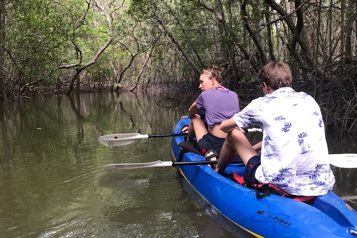 Mangrove Tour by Kayaking in Ko Lanta With Lunch