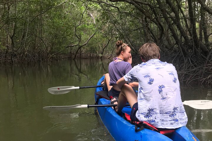 Mangrove Tour by Kayaking in Ko Lanta With Lunch