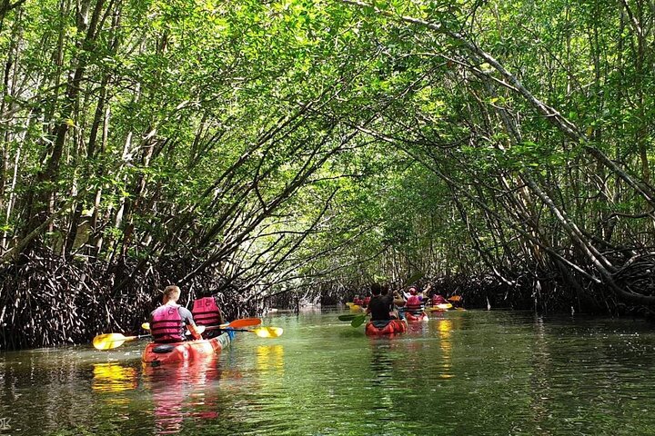 Mangrove Tour by Kayaking in Ko Lanta With Lunch