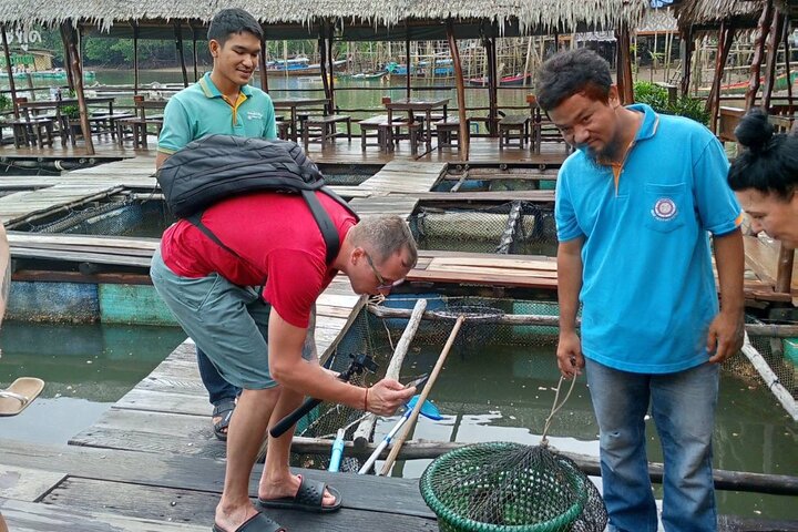 Mangrove Tour by Kayaking in Ko Lanta With Lunch
