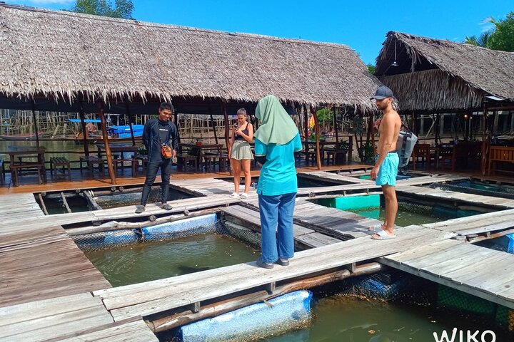 Mangrove Tour by Kayaking in Ko Lanta With Lunch
