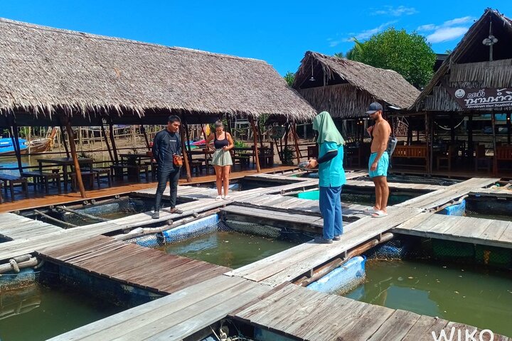 Mangrove Tour by Kayaking in Ko Lanta With Lunch