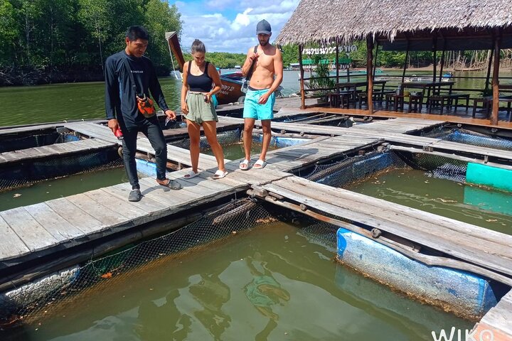Mangrove Tour by Kayaking in Ko Lanta With Lunch
