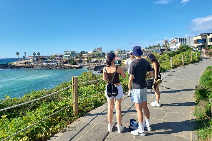 Private Half Day South and West Tour in Jeju Island