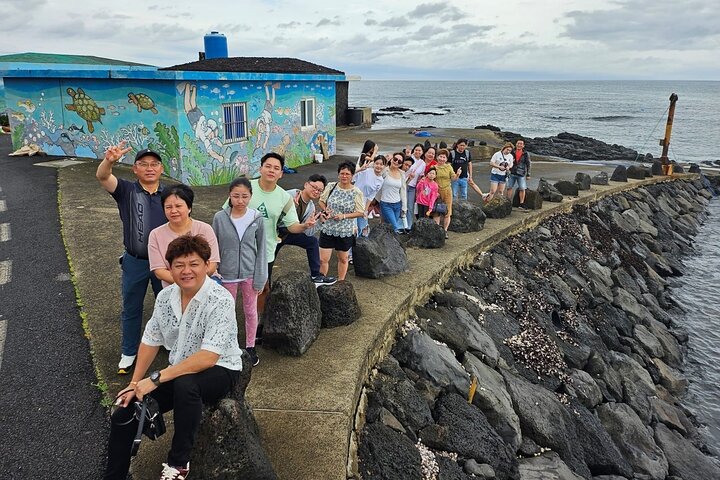Private Day tour East & south & west of All area in jeju island