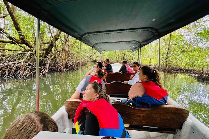 Bocas del Toro Island Hopping Day Tour in Zapatilla Beach