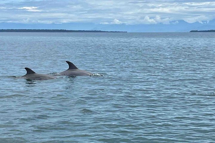 Bocas del Toro Island Hopping Day Tour in Zapatilla Beach
