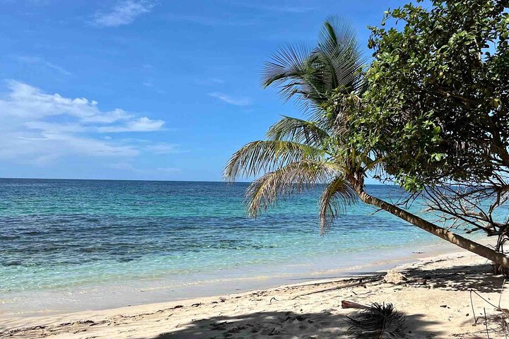 Bocas del Toro Island Hopping Day Tour in Zapatilla Beach