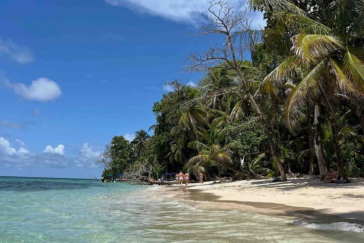 Bocas del Toro Island Hopping Day Tour in Zapatilla Beach