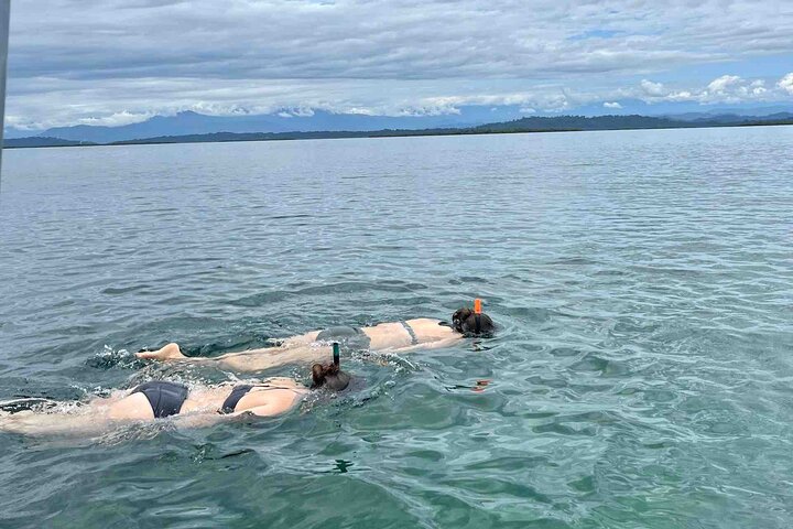 Bocas del Toro Island Hopping Day Tour in Zapatilla Beach