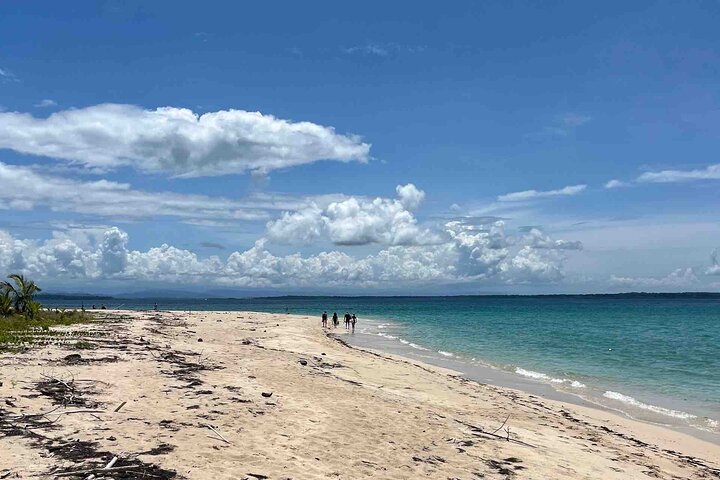 Bocas del Toro Island Hopping Day Tour in Zapatilla Beach