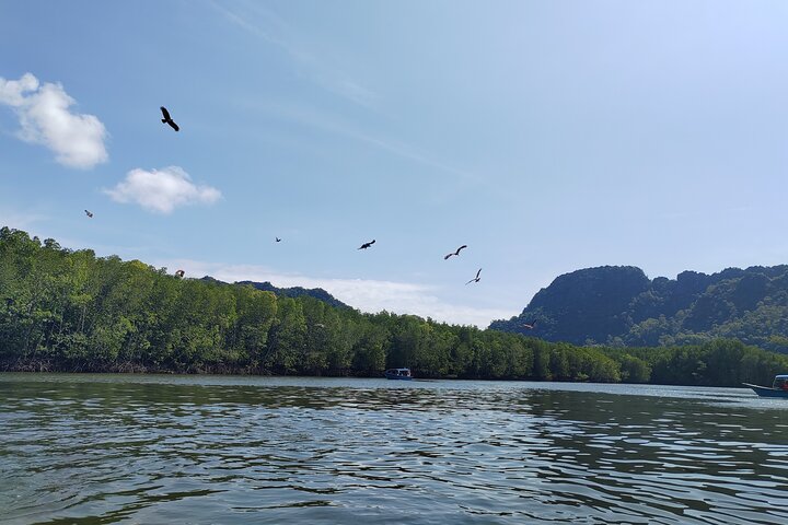 Langkawi Private Tour Highlights with Cable Car and Sky Bridge