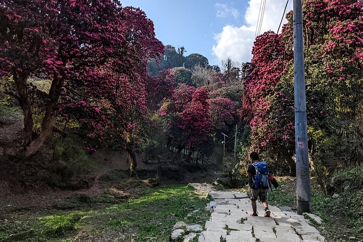 Private Guided Hiking at Annapourna Circuit