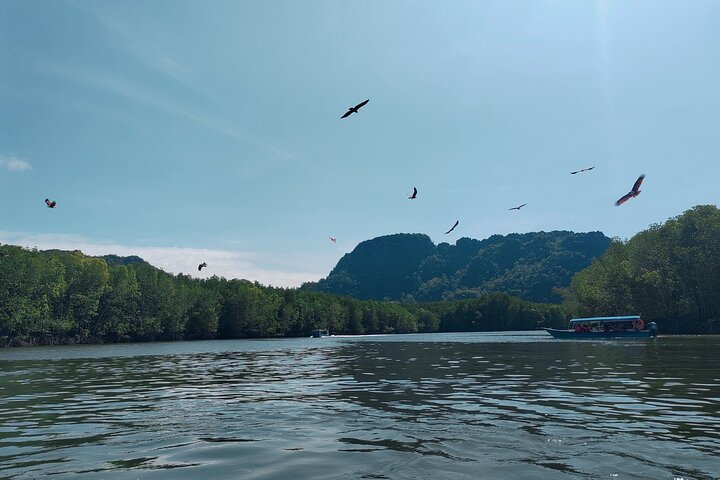 Langkawi Mangrove Boat Tour at Kilim Geoforest Park