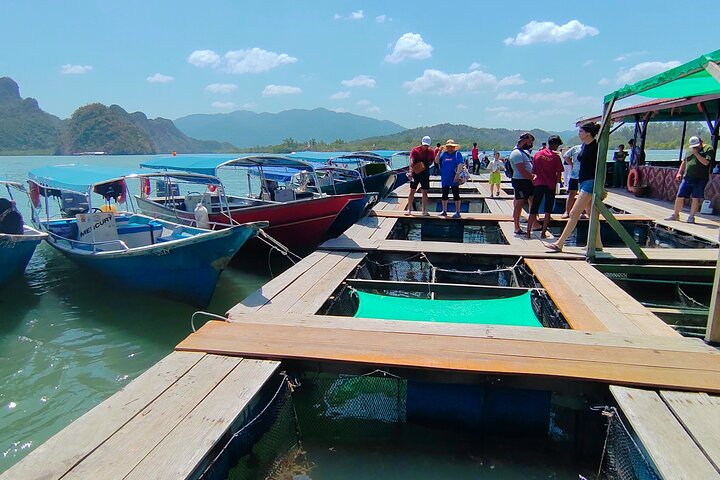 Langkawi Mangrove Boat Tour at Kilim Geoforest Park