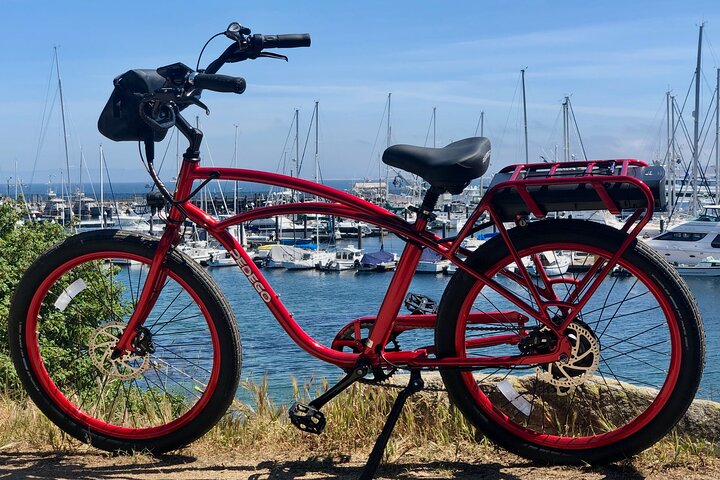 4 hour Electric Bike Rental on 17 Mile Drive