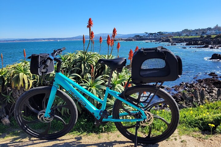 4 hour Electric Bike Rental on 17 Mile Drive