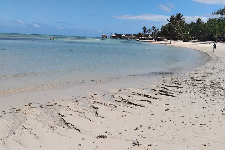 Full-Day Upolu Island Highlights Tour from Apia
