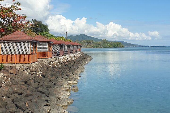 Full-Day Upolu Island Highlights Tour from Apia