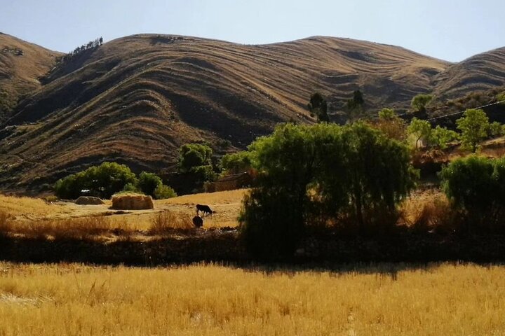 1 Day Trek in the Crater of Maragua and Inca Trails in Sucre