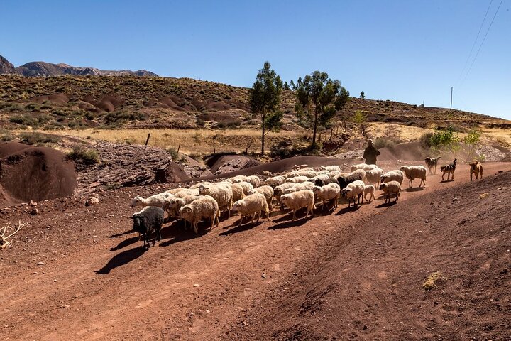 1 Day Trek in the Crater of Maragua and Inca Trails in Sucre
