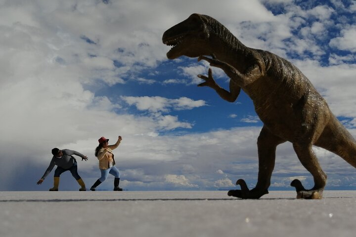 Uyuni Salt Flat 1 Day Tour +Sunset in the Salt Water Region with Mirror Effect