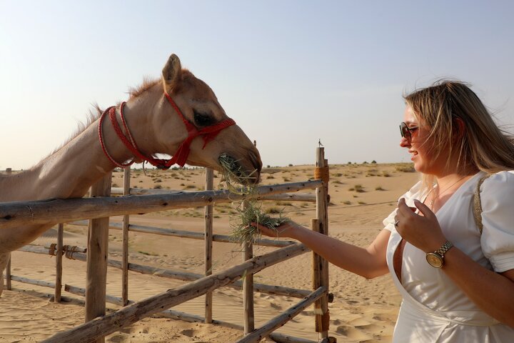 Abu Dhabi: Desert Safari with BBQ, Camel Ride & Sandboarding