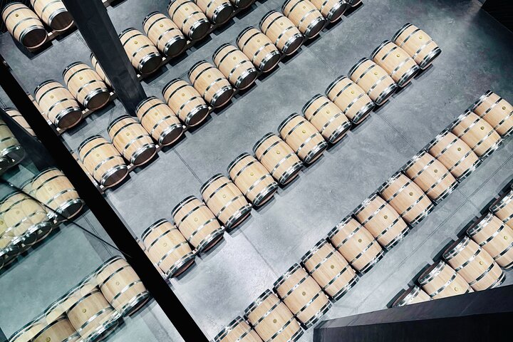 Saint-Émilion & Médoc : Full day with tastings and WSET guide