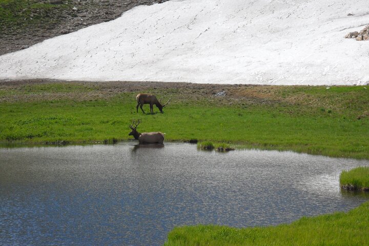 RMNP: Bear Lake Corridor Tour