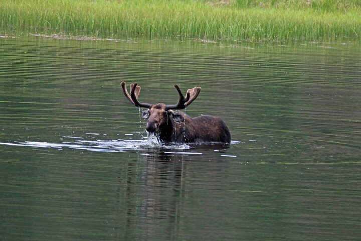 RMNP: Bear Lake Corridor Tour