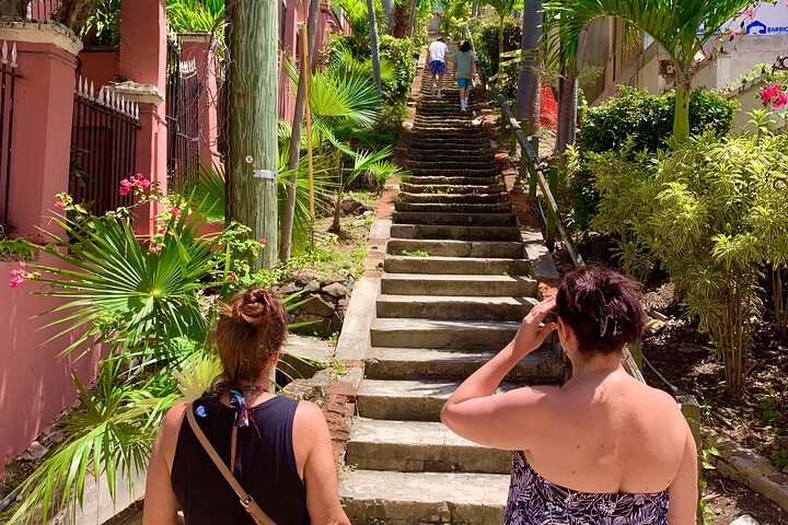 6 Hour St. Thomas Private Sightseeing Tour